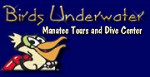 Birds Underwater Manatee Tours and Dive Shop