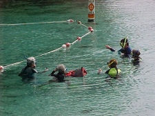 Getting Scuba Certified in The Springs